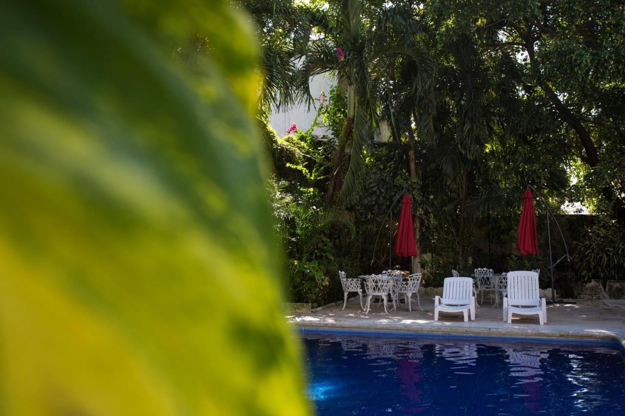 Hotel Xbalamque & Spa Cancun Centro Exterior foto